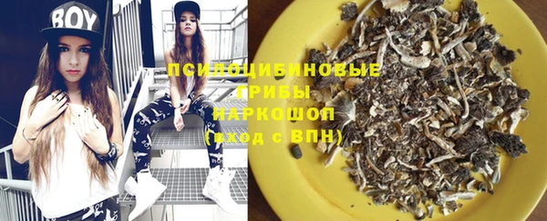 молекула духа Верея